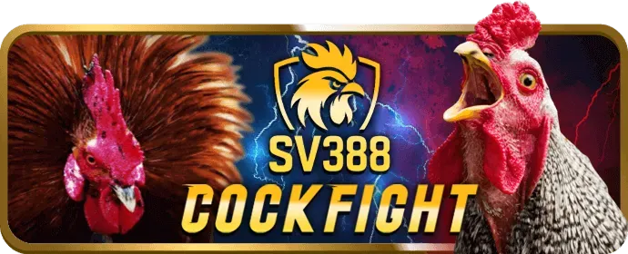 Tổng quan các bài viết blog của 33win68 nhà cái